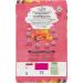 Beyond Superfood Blend Natural Dry Dog Food Wild Caught Salmon Egg & Pumpkin - 10.2 kg Bag 10.2 kg (Pack of 1) Dog Food - Buy Online on GoSupps.com