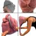 Homelevel 2x Terry Hair Turban with Button - Quick-Drying 100% Cotton Hair Towel Set in Old Pink & Light Gray - Buy Online on GoSupps.com