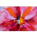 Geranium Essential Oil - 100% Pure Therapeutic Grade for Diffuser Aromatherapy Massage & Skin Care | Revive Essential Oils - Buy Online on GoSupps.com