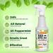 Mighty Mint 16oz Natural Peppermint Oil Spray - Cockroach Repellent - Buy Online on GoSupps.com