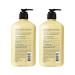 Hempz Sweet Pineapple & Honey Melon Body Lotion 2-Pack Bundle - Daily Moisturizing Cream with Shea Butter, Aloe, and Orange Extract - Hemp Seed Oil, 17 fl oz - Skin Care Products - Buy Online on GoSupps.com