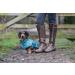 Rukka Pets Hayton Warm Raincoat for Dogs - Aqua 55 | Premium Waterproof Dog Raincoat | International Shipping - Buy Online on GoSupps.com