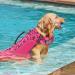 Alagirls Dog Cladding & Accessories - Rescue Vests & Life Jackets for Small to Large Dogs - Stylish Pink (Chest 42-54cm) | International Shipping - Buy Online on GoSupps.com