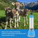 Oumefar Calf Assisted Breathing Pump - Strong Suction Blue Cattle Breathing Pump for Farm Livestock (Sheep, Horses, Cows) - Buy Online on GoSupps.com