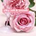 Love Beauty and Planet Blooming Color Shampoo - Murumuru Butter & Rose 13.5 fl oz | Color Protection & Nourishment - Buy Online on GoSupps.com