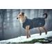 HUNTER UPPSALA Black Dog Coat - Water-Repellent & Reflective - Size 30 | International Shipping Available - Buy Online on GoSupps.com
