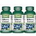 VORST Bilberry Supplement 8000mg Raw Equivalent (80mg 100:1 Extract) 3 X 90 Capsules | Eye Antioxidant Circulation Enhancer & Inflammation Reducer | Non Gmo Wild European Blueberry | Powder Pills | 3 Bottles 90 count (Pack of 3)