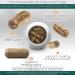 Teaveli Premium Spirulina & Chlorella Capsules with Apigenin Supplement Bundle - Buy Online on GoSupps.com