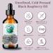 Bella Terra Oils - Black Raspberry Seed Oil 8 oz - Natural Elixir Enhanced with Ellagic Acid & Vitamin A Cold-Pressed Cosmetic Secret for Radiant Skin 8 Fl Oz (Pack of 1) - Buy Online on GoSupps.com