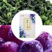 Socobeta Grape Oolong Tea 24pcs Cold Brew Fruit Tea Bags for Casual Drinks in The Morning and Afternoon Free Time kitchen Home Appliances - Buy Online on GoSupps.com