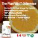 PlantVital Vitamin C 1000mg MAXIMUM STRENGTH -Vit C Supplements helps support immune system collagen and connective tissue formation - Stronger bones teeth and gums - 8 Months Supply - 240 Capsules 240 Count (Pack of 1) - Buy Online on GoSupps.com