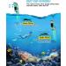 Greatever Dry Snorkel Set - Anti-Fog Scuba Diving Mask for Adults, Professional Snorkeling Gear with Panoramic Wide View - Black/Green - Buy Online on GoSupps.com