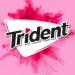 Trident Bubblegum Sugar Free Gum  12 Packs of 14 Pieces (168 Total Pieces) Bubble Gum - Buy Online on GoSupps.com