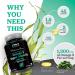 Vegan Omega 3 Algae Oil 1300mg - High Strength DHA - 90 Vegan Softgels with Vitamin E - Plant Based Omega 3 Supplement - Buy Online on GoSupps.com