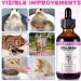 Liquid Collagen for Cats - Shiny Coat & Healthy Skin Joint & Digestive Support - Salmon Flavor 60ml - Buy Online on GoSupps.com