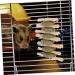Happyyami Pet Chew Snack Guinea Pig Chewing Playthings Hamster Biting Playthings - Buy Online on GoSupps.com