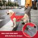 PLUS PO Dog Raincoat - Waterproof Full Raincoat for Small Dogs - Stylish Red & SS Pink Options - Buy Online on GoSupps.com