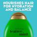 OGX Tea Tree Mint Conditioner - Nourishing Scalp Treatment - 13 fl oz - Buy Online on GoSupps.com