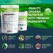 healblend Plant-Based Protein Powder Vegan Dietary Supplement - Gluten-Free Non-GMO Erythritol-Free Soy-Free Dairy-Free Pea Protein for Women and Men - Buy Online on GoSupps.com
