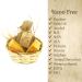 Buy Dr. Cient Wild Pistacia Bittim Soap - Organic Vegan Handmade Anti-Hair Loss Solution (140g) - Buy Online on GoSupps.com