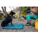 RUFFWEAR Quencher Bowl - Huckleberry Blue Small | Durable & Portable Dog Water Bowl for Travel - Buy Online on GoSupps.com