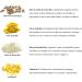 Vitamol Make up Lip balm Organic face care 4.5 gr. - Buy Online on GoSupps.com