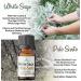 White Sage & Palo Santo Purification Essential Oil - 10ml - Clears Negative Energy for Diffusers, Meditation, Yoga, and Spiritual Purposes - Buy Online on GoSupps.com