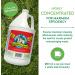 Buy Biodegradable Laundry Detergent - 1 Gallon Bulk Size Cruelty-Free & Chemical-Free Liquid Perfect for Eco-Friendly Cleaning - Buy Online on GoSupps.com