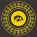 Iowa Hawkeyes Party Supplies - Serves 16 (48 Pieces) | Westrick eCommerce - Buy Online on GoSupps.com
