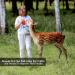 Himalayan Nature 100% Natural Rock Deer Salt Block 2-5 lbs - Animal Licking Mineral Salt Block - Buy Online on GoSupps.com