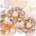 Hair Comb Princess Headband Aesthetic Hair Accessories Hair Styling Accessories Flower Clips Birthday Headpiece Wedding Hair Accessories Hair Clips Decor Headgear Leaf Bride Pearl - Buy Online on GoSupps.com