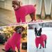 Iecoii Warm Turtleneck Dog Sweater Cozy Winter Dog Clothing for Small Medium & Large Breeds | Ideal for Chihuahua French Bulldog and Labrador - Rose Red - Buy Online on GoSupps.com