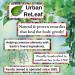 Urban ReLeaf Lemon Balm - Fast Relief for Blisters, Rashes, Bumps, and Bug Bites | 100% Natural | Made Fresh in the USA - Buy Online on GoSupps.com