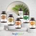 Organic Mushroom Complex 8-180 Capsules - 1000mg - Lion's Mane & 7 Mushroom Blends -Turmeric & Ginger - Vegan - 180 Count - Buy Online on GoSupps.com