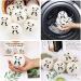 Laundry Wool Dryer Balls Natural Downy Laundry Fabric Softener Beads Reusable for Dryer 6 Pack XL Baby Safe with Lucky Panda Save Drying Time - Buy Online on GoSupps.com
