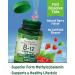 B12 Vitamin Sublingual Tablets 1000mcg | 120 Count | Vegetarian Non-GMO & Gluten Free - Nature's Truth - Buy Online on GoSupps.com