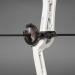 Trophy Ridge Whisker Biscuit Kill Shot Arrow Rest - Medium, Brown - Buy Online on GoSupps.com