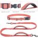 Vivaglory Reflective Waist Dog Leash for Medium Large Dogs - Anti-Shock Bungee Padded Handles Adjustable 65-112cm - Perfect for Training & Jogging - Pink & Gray - Buy Online on GoSupps.com