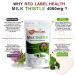 Milk Thistle Supplement 4000mg 300 Tablets (10 Months Supply) Max Strength 80% Silymarin Supplement Just One a Day Milk Thistle for Men & Women Vegan Vegetarian Made in The UK 300 count (Pack of 1) - Buy Online on GoSupps.com