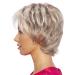 Buy Degenhardt Wig BR GGE Deluxe Plus | High-Quality Synthetic Hair in Copper Maroon & Brilliant Titanium Grey | International Shipping Available - Buy Online on GoSupps.com