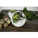 GREAT CLIPS Tea Tree Coconut Oil Texture 2oz | Pliable Hold for Dry & Coarse Hair - Buy Online on GoSupps.com