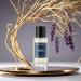 Mod Fragrances Divine Devil Perfume for Men | Extrait de Parfum | Designer Fragrance Dupe Inspired by Laurent Y Elixir | Vegan & Cruelty-Free | Fresh Spicy Scent | 50ml - Buy Online on GoSupps.com
