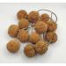 Dried Plane Tree 85g - 1 95kg Platanus Orientalis (220 grams) - Buy Online on GoSupps.com