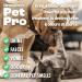 Dirtbusters Pet Pro Urine & Odour Destroyer Enzyme Cleaner For Carpet & Upholstery Neautralise & Remove Pet Dog & Cat Odours At Source With Reactivating Enzymatic Treatment (1L) - Buy Online on GoSupps.com