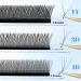 Volume Eyelash Extensions - 4D Self-Fan Lashes | 0.07mm DCURL Mix 8-14mm | Gemerry 4DLASH - Buy Online on GoSupps.com