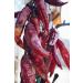 50g Harry Harvey Dried Red Chillies Whole for curries rice sun dry kashmiri chilli spice herb seasoning hot long Mirch pepper - Buy Online on GoSupps.com