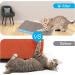 5-in-1 Premium Cat Scratch Pad | Reversible Durable Cardboard | Suitable for Rest, Claws, and Play - Buy Online on GoSupps.com