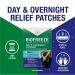 Biofreeze Pain Relief Patches - Day & Night Knee Back & Muscle Relief | FSA Eligible | 9 Menthol Patches - Buy Online on GoSupps.com