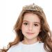 Crystal Queen Princess Crown Tiara for Women & Girls - Bridal Hair Accessory for Birthday, Wedding, Prom & Parties - Gold (Pack of 1) - Buy Online on GoSupps.com