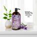 Dead Sea Collection Lavender Body Wash 2-Pack (67.6 fl. oz) - For Women and Men - Cleanses, Moisturizes Skin - Natural Minerals, Vitamins for Nourished Skin - Buy Online on GoSupps.com